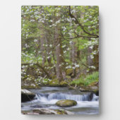 Dogwood Trees | Grote Smoky Mountain, Tennessee Fotoplaat (voorkant)