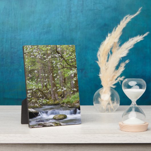 Dogwood Trees | Grote Smoky Mountain, Tennessee Fotoplaat (Zijkant)