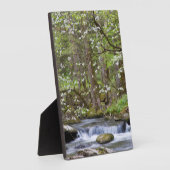 Dogwood Trees | Grote Smoky Mountain, Tennessee Fotoplaat (Zijkant)