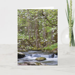 Dogwood Trees   Grote Smoky Mountain, Tennessee Kaart