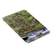 Dogwood Trees | Grote Smoky Mountain, Tennessee Magneet (Rechterzijde)