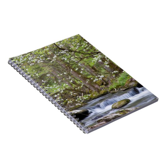 Dogwood Trees | Grote Smoky Mountain, Tennessee Notitieboek (Rechterzijde)