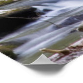 Dogwood Trees | Grote Smoky Mountain, Tennessee Poster (Hoek)