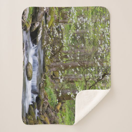 Dogwood Trees | Grote Smoky Mountain, Tennessee Sherpa Deken (Voorkant)