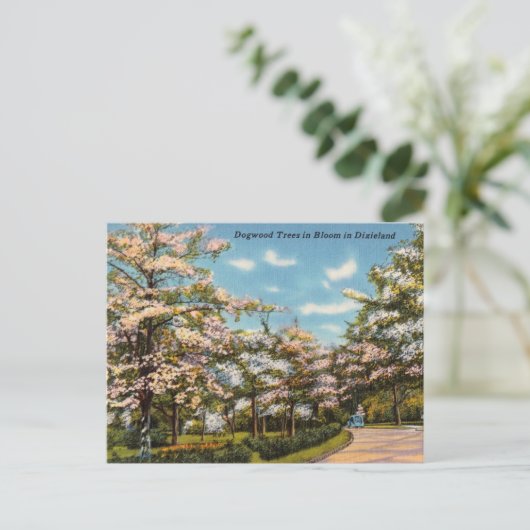 Dogwood Trees in Dixieland Briefkaart (Staand voorkant)