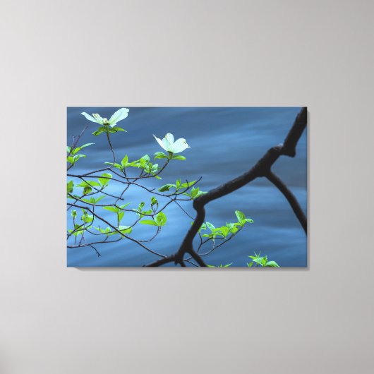 Dogwoods aan het water canvas afdruk (Voorkant)