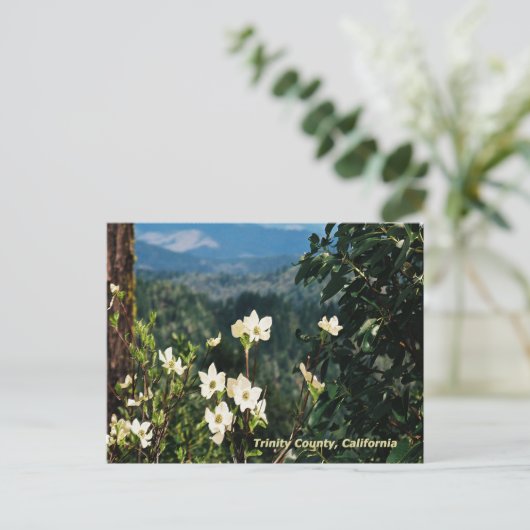 Dogwood's Blooming....... Briefkaart (Staand voorkant)