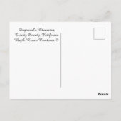 Dogwood's Blooming....... Briefkaart (Achterkant)