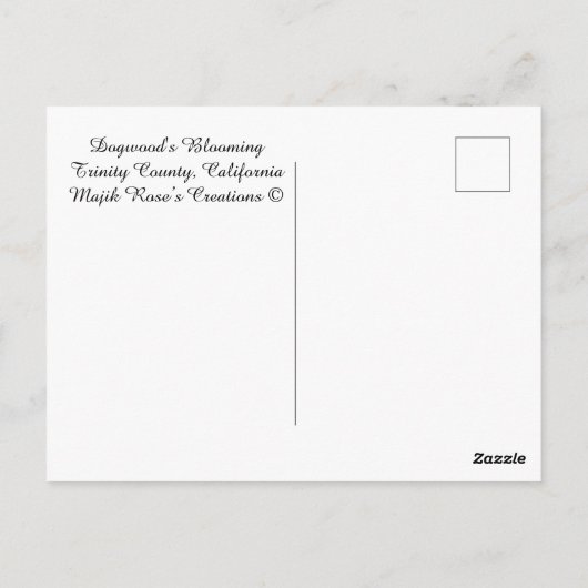 Dogwood's Blooming....... Briefkaart (Achterkant)