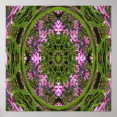 Doily of Spring.... Poster (Voorkant)