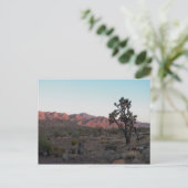Dolan Springs Briefkaart (Staand voorkant)