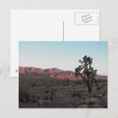 Dolan Springs Briefkaart (Voorkant / Achterkant)