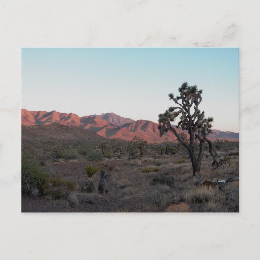 Dolan Springs Briefkaart (Voorkant)