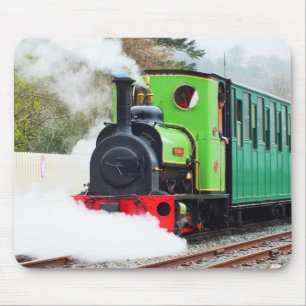 Dolbadarn-trein Muismat