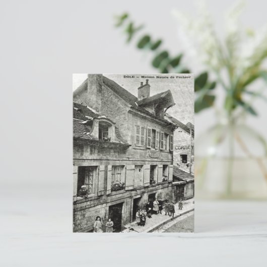 Dole; Maison Natale de Louis Pasteur  post Briefkaart (Staand voorkant)