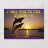 dolfijn briefkaart (Voorkant)