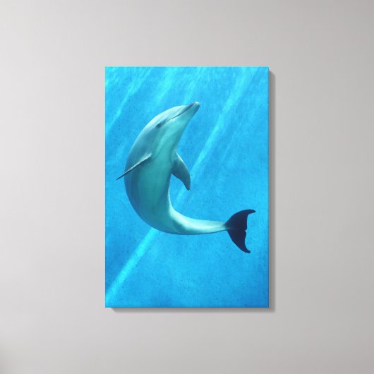 Dolfijn Canvas Afdruk (Voorkant)