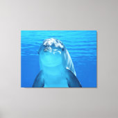 dolfijn canvas afdruk (Voorkant)