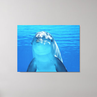 dolfijn canvas afdruk