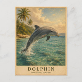 Dolfijn Caribische Wateren VINTAGE Briefkaart
