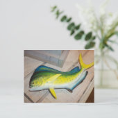 Dolfijn De Vis (Niet Het Zoogdier) Briefkaart (Staand voorkant)