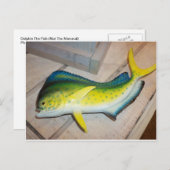 Dolfijn De Vis (Niet Het Zoogdier) Briefkaart (Voorkant / Achterkant)