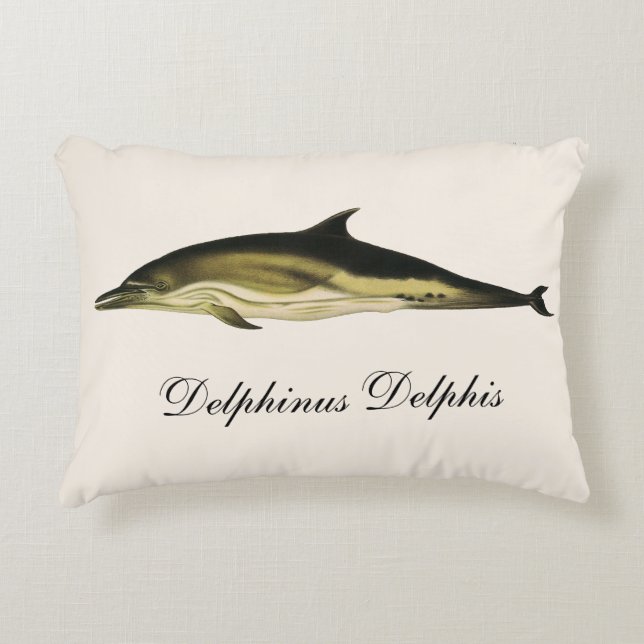 Dolfijn Delphinus Delphis, Antieke Zeezoogdieren  Accent Kussen (Voorkant)