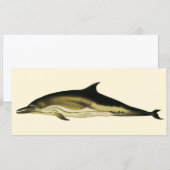 Dolfijn Delphinus Delphis, Vintage Mariene Dieren (Voorkant / Achterkant)