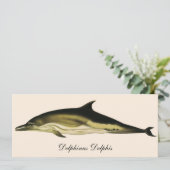 Dolfijn Delphinus Delphis, Vintage Mariene Dieren (Staand voorkant)