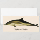 Dolfijn Delphinus Delphis, Vintage Mariene Dieren (Voorkant / Achterkant)
