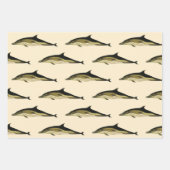 Dolfijn Delphinus Delphis,  zeezoogdieren Inpakpapier Vel (Voorkant 2)