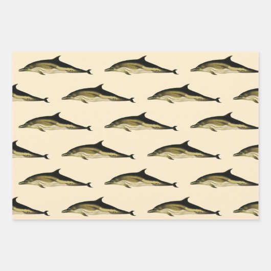 Dolfijn Delphinus Delphis,  zeezoogdieren Inpakpapier Vel (Voorkant 2)