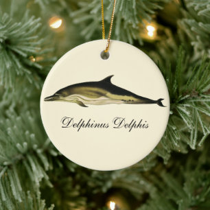 Dolfijn Delphinus Delphis,  zeezoogdieren Keramisch Ornament