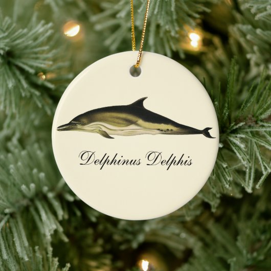 Dolfijn Delphinus Delphis,  zeezoogdieren Keramisch Ornament (Boom)