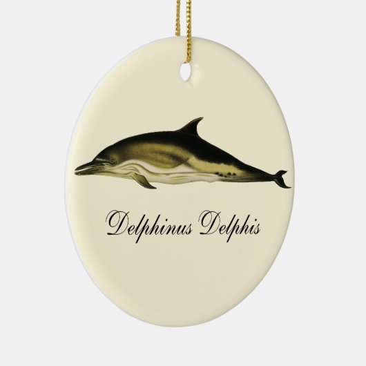 Dolfijn Delphinus Delphis,  zeezoogdieren Keramisch Ornament (Rechts)