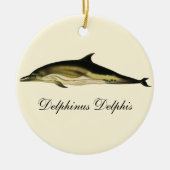 Dolfijn Delphinus Delphis,  zeezoogdieren Keramisch Ornament (Voorkant)