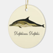 Dolfijn Delphinus Delphis,  zeezoogdieren Keramisch Ornament (Links)