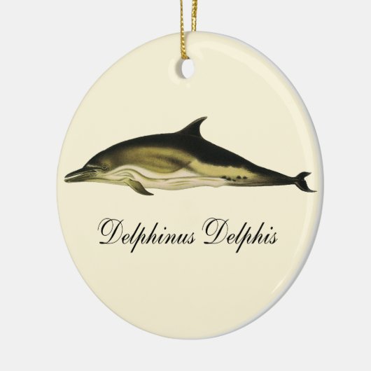 Dolfijn Delphinus Delphis,  zeezoogdieren Keramisch Ornament (Links)