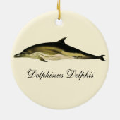 Dolfijn Delphinus Delphis,  zeezoogdieren Keramisch Ornament (Achterkant)