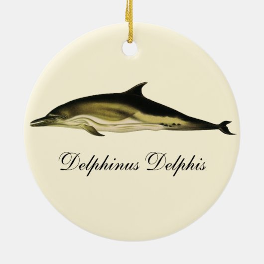 Dolfijn Delphinus Delphis,  zeezoogdieren Keramisch Ornament (Achterkant)