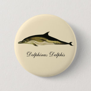 Dolfijn Delphinus Delphis,  zeezoogdieren Ronde Button 5,7 Cm