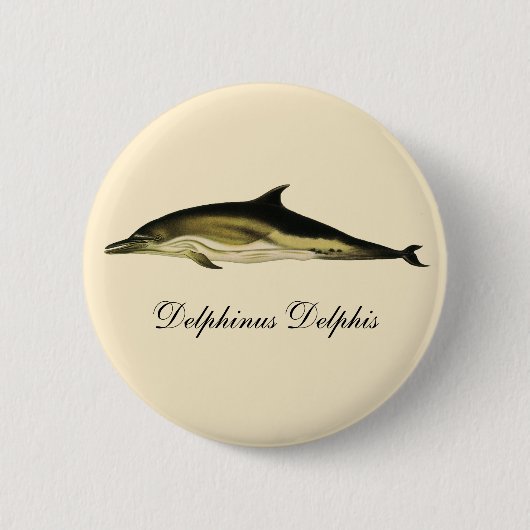 Dolfijn Delphinus Delphis, zeezoogdieren Ronde Button 5,7 Cm (Voorkant)