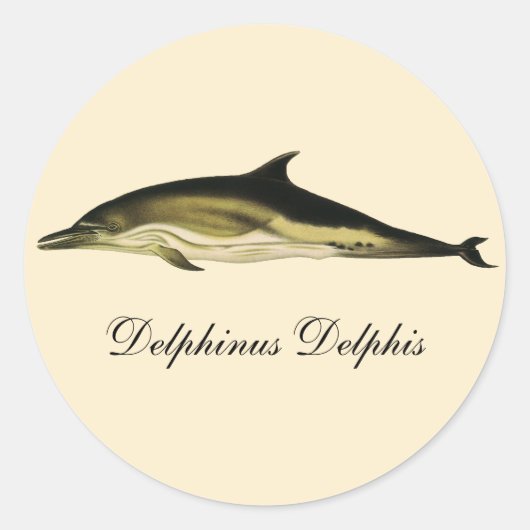 Dolfijn Delphinus Delphis,  zeezoogdieren Ronde Sticker (Voorkant)