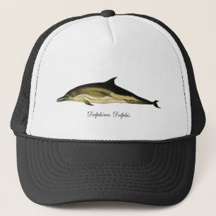 Dolfijn Delphinus Delphis,  zeezoogdieren Trucker Pet