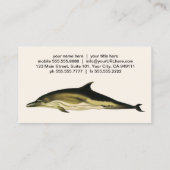 Dolfijn Delphinus Delphis, zeezoogdieren Visitekaartje (Achterkant)