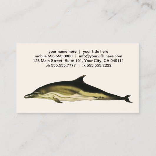 Dolfijn Delphinus Delphis,  zeezoogdieren Visitekaartje (Achterkant)