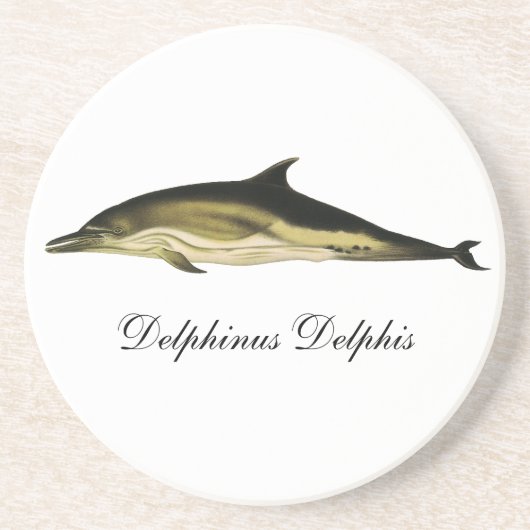 Dolfijn Delphinus Delphis,  zeezoogdieren Zandsteen Onderzetter (Voorkant)
