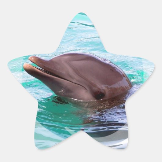 Dolfijn Design Stickers (Voorkant)