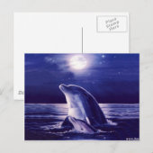 Dolfijn en Baby Briefkaart (Voorkant / Achterkant)