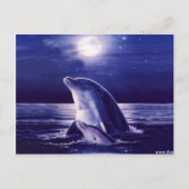 Dolfijn en Baby Briefkaart (Voorkant)